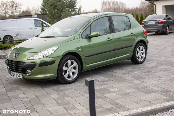 Peugeot 307 - 30