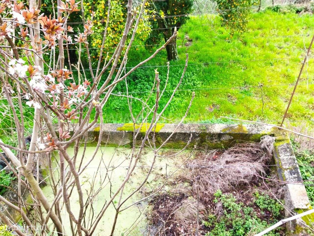 Terreno / Baião, Baião (Santa Leocádia) e Mesquinhata - Grande imagem: 3/11