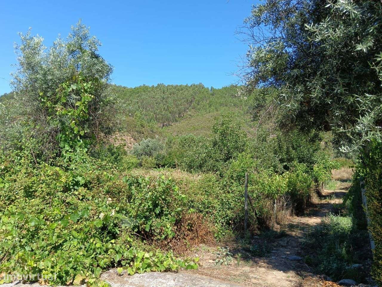 Terreno - Grande imagem: 2/11