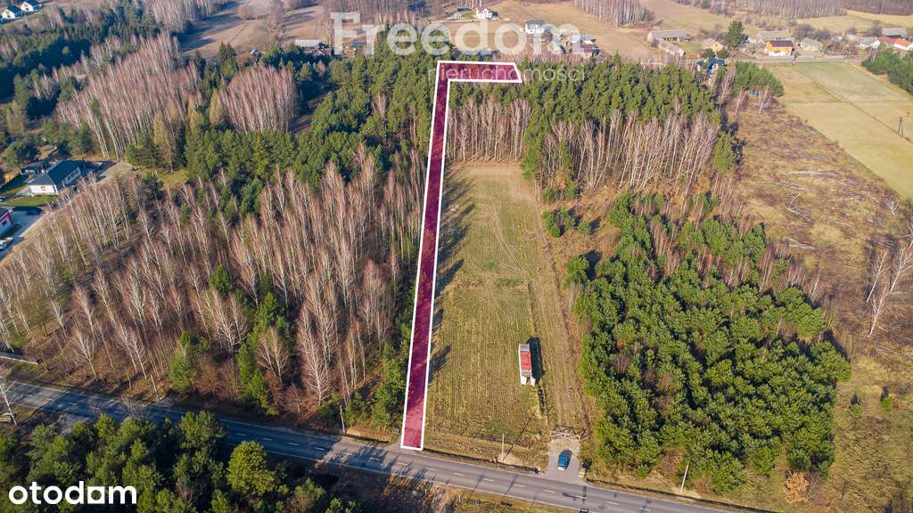 Działka w lesie w Grzegorzewicach - Pełny obrazek: 5/20