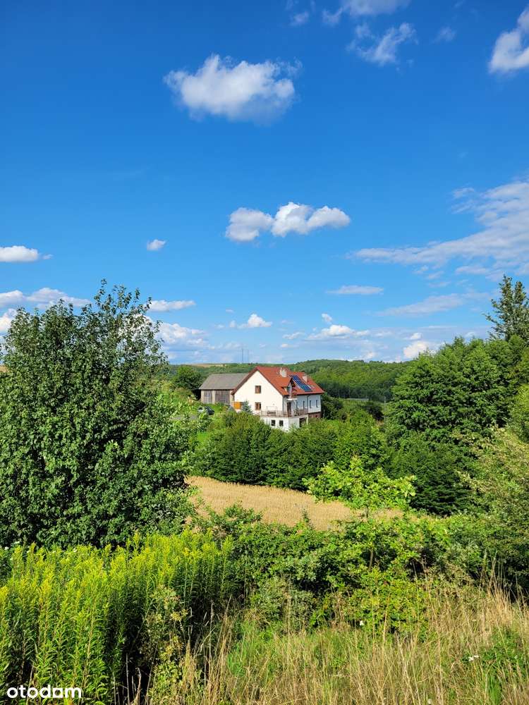 Piękny dom z winnicą - Pełny obrazek: 5/12