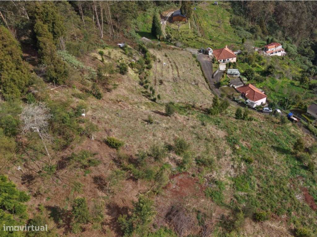 Moradia com terreno de 1.2 ha - Santo da Serra-9