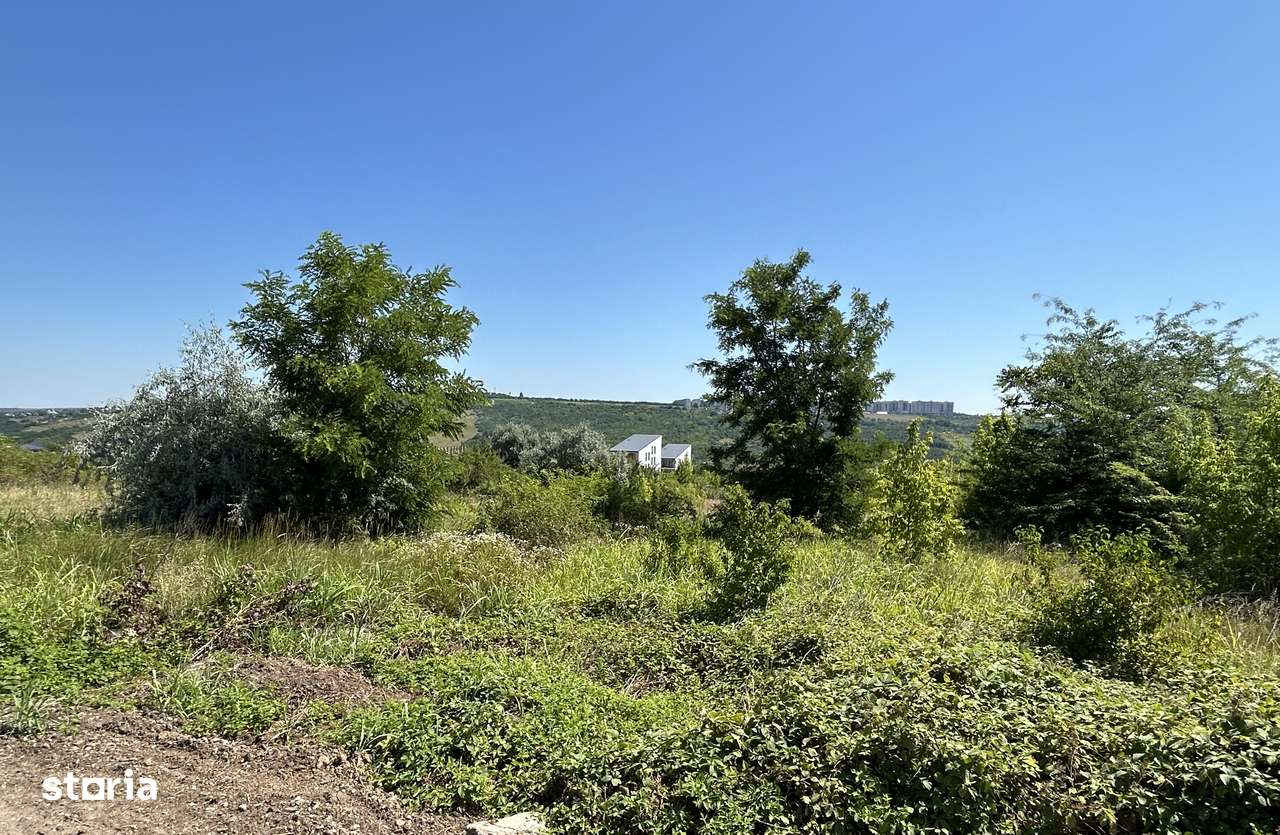 41.500 e Teren Iasi-Rediu intravilan platou Beldiman 650 mp zona noua-5