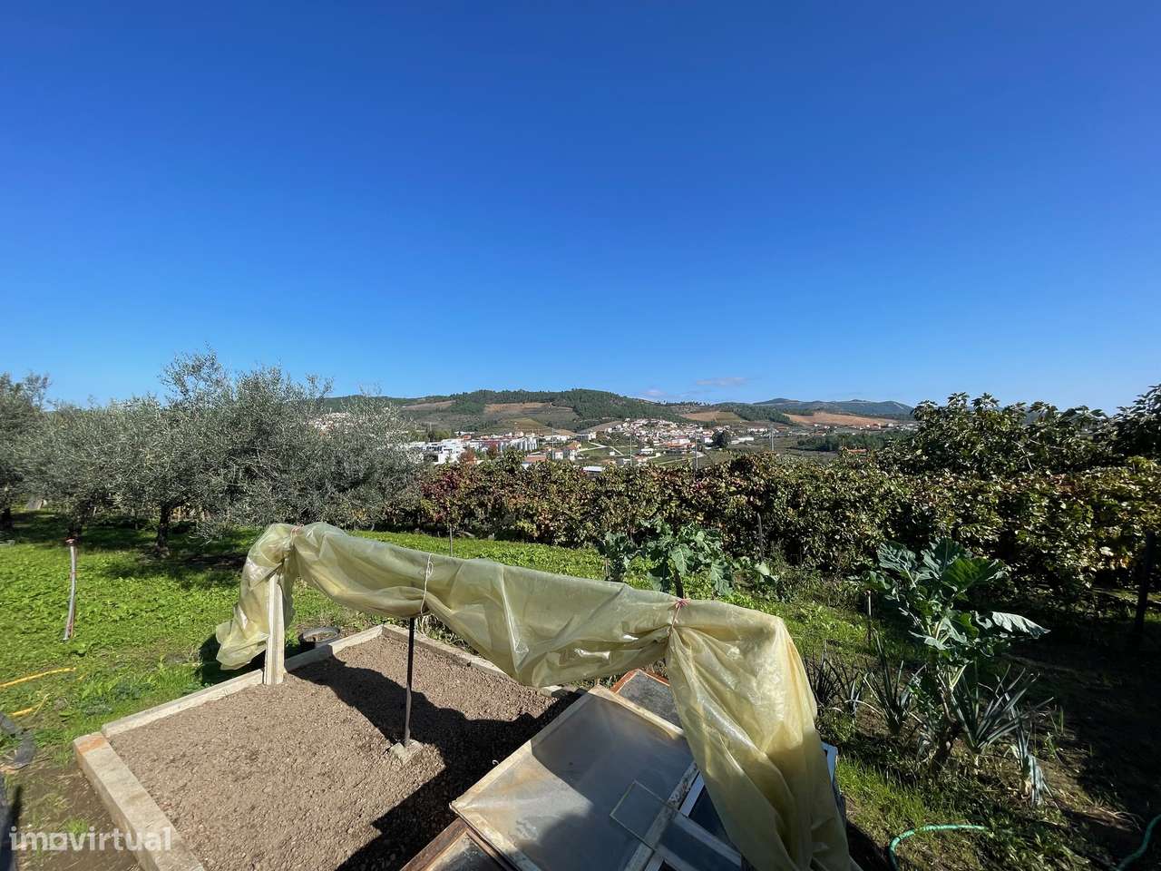 QUINTA EM MURÇA | CASA SENHORIAL | OPORTUNIDADE INVESTIMENTO-40