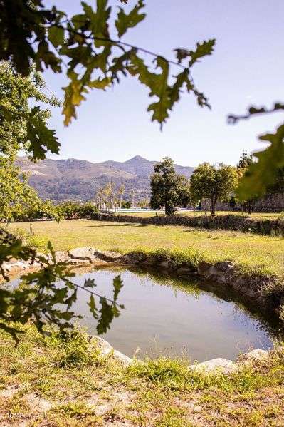 Quinta Turismo Rural - Grande imagem: 5/8