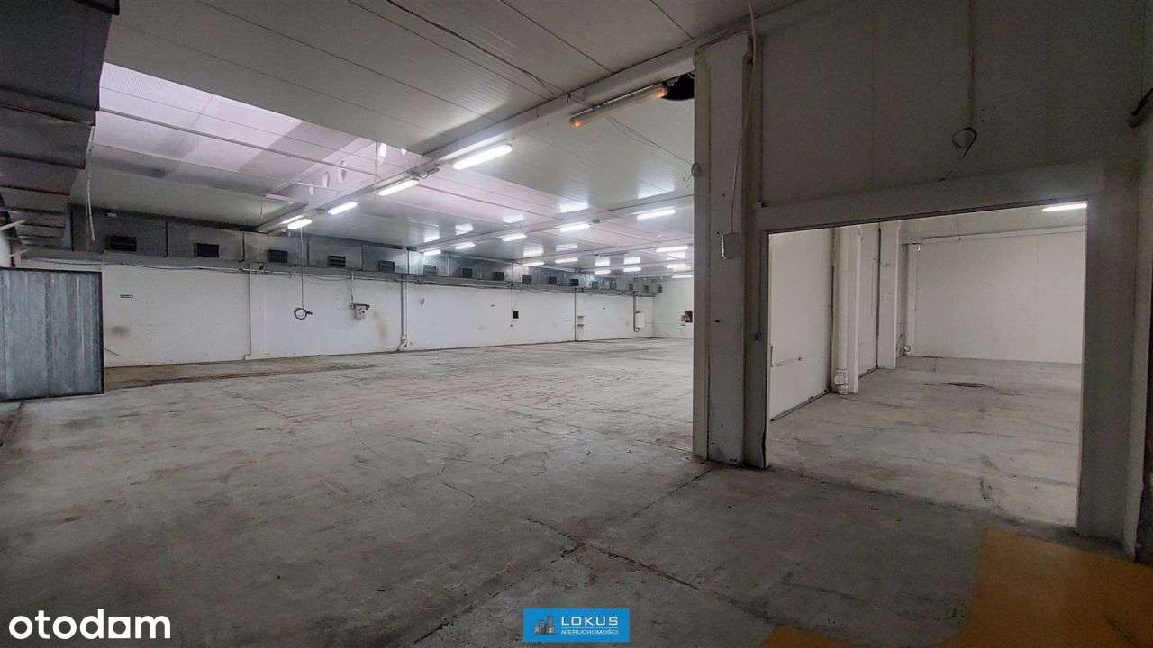 Magazyn Produkcja 2 doki biuro plac - Pełny obrazek: 5/15