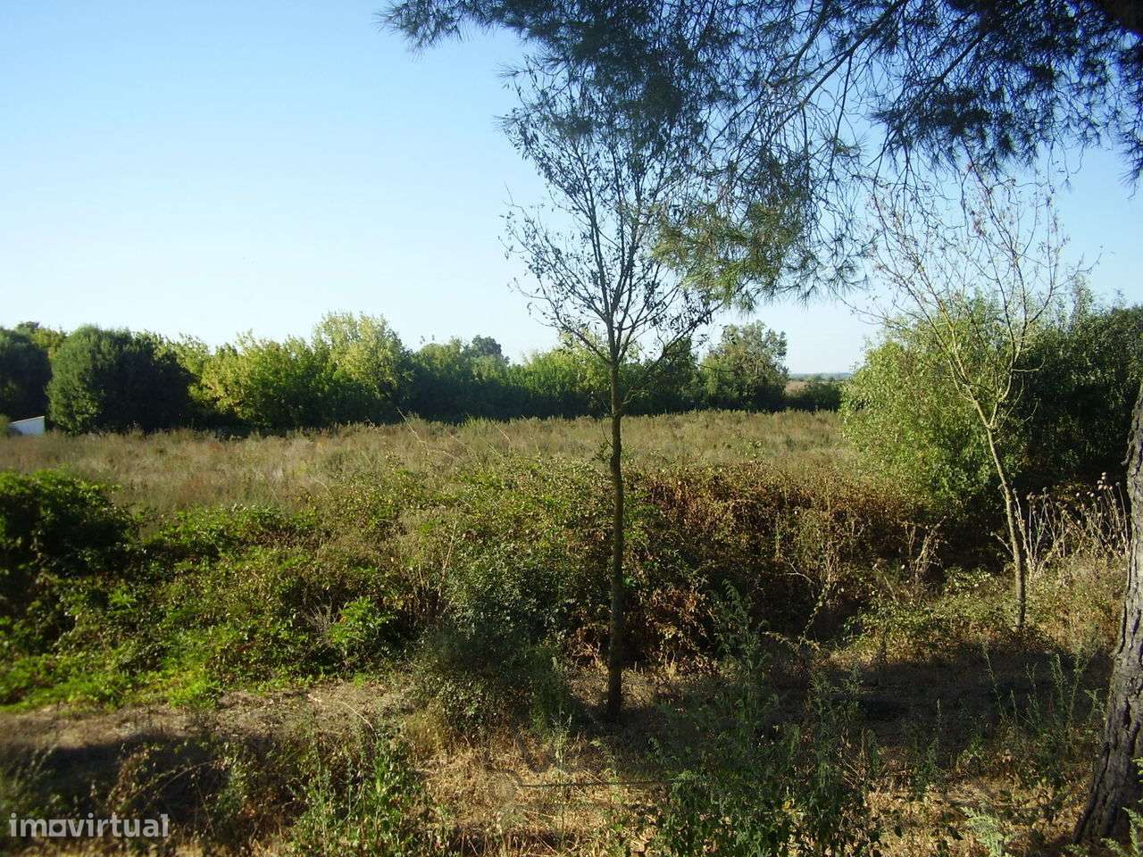 Terreno no Escaroupim (S287) - Grande imagem: 3/7