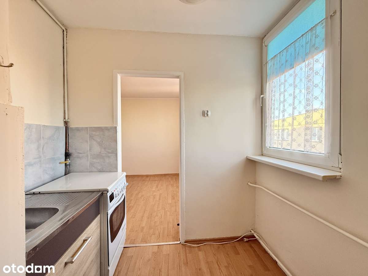 Przestronne 3 pokoje w centrum, blisko Parku Miejskiego-10