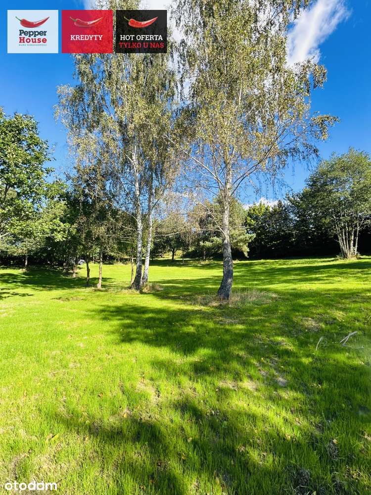 Na sprzedaż piękna działka  ul. Słoneczna Kłodawa - Pełny obrazek: 4/19