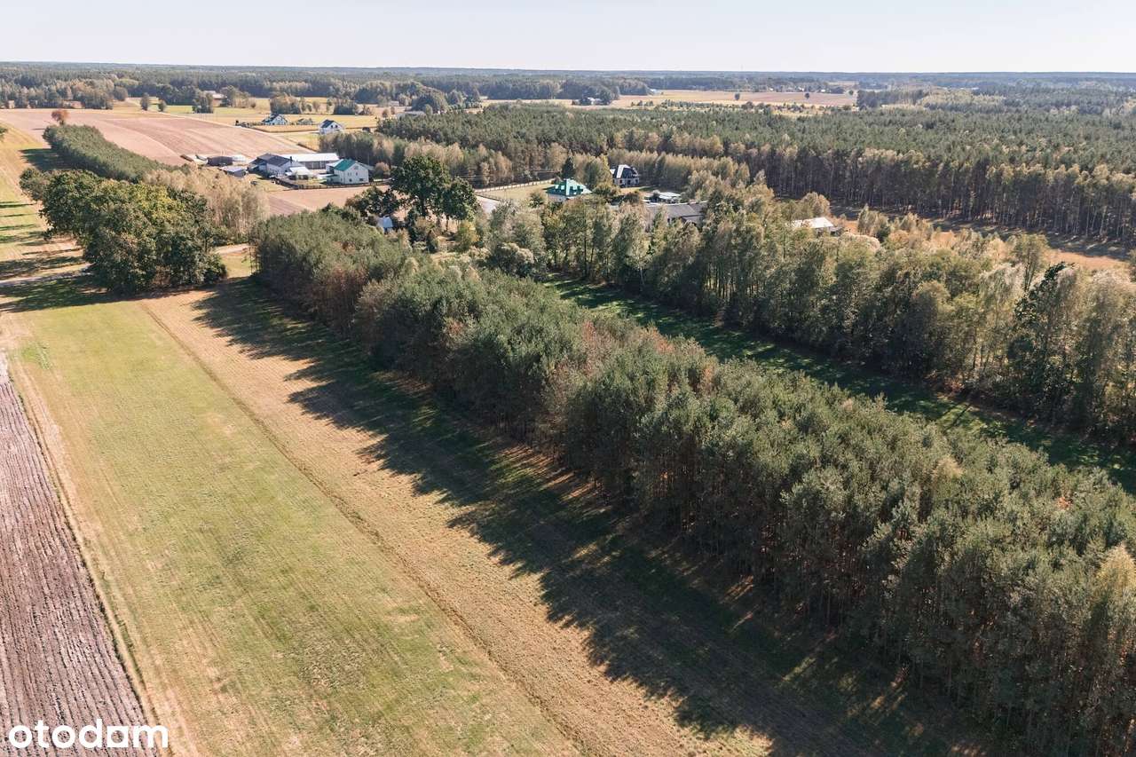 Duże działki w spokojnej okolicy z możliwością zabudowy + prywatny las - Pełny obrazek: 4/14