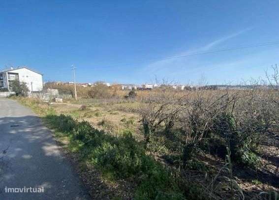 Terreno Marrazes-Leiria Gare - Grande imagem: 3/24