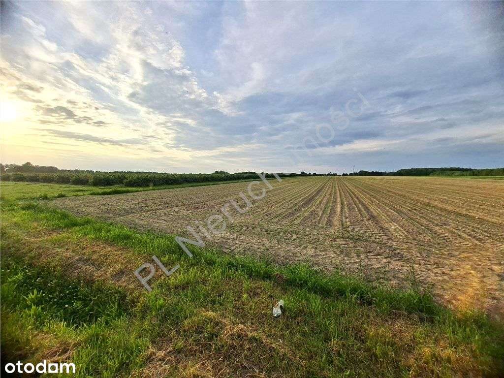 Teren Inwstycyjny-usługowo-produkcyjny Mińska Maz. - Pełny obrazek: 5/5