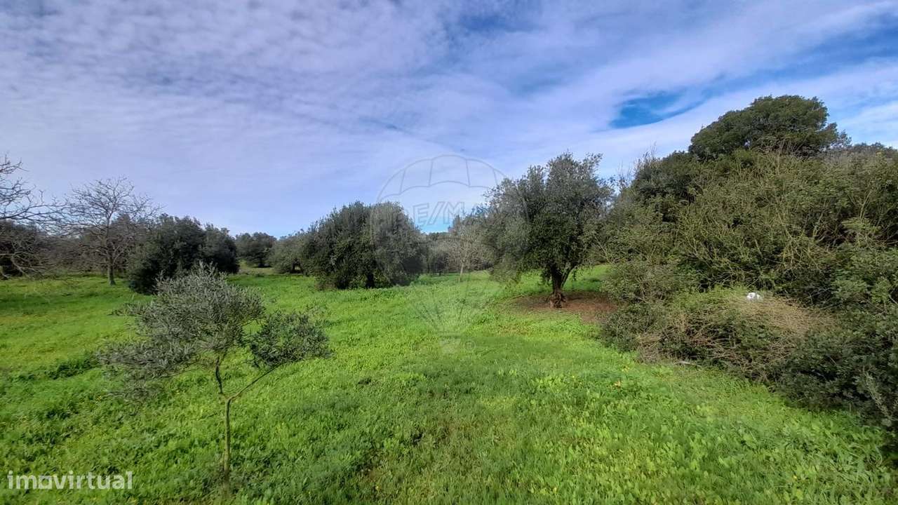 Terreno  para venda - Grande imagem: 4/35