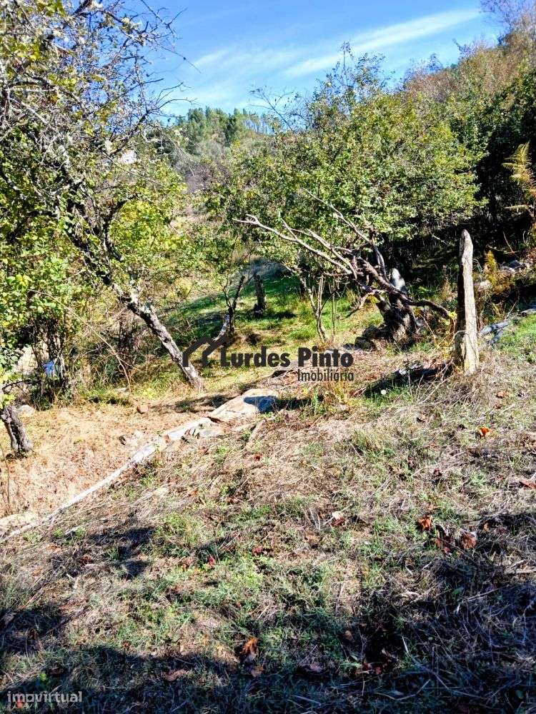 Duas moradias à beira da ribeira-27