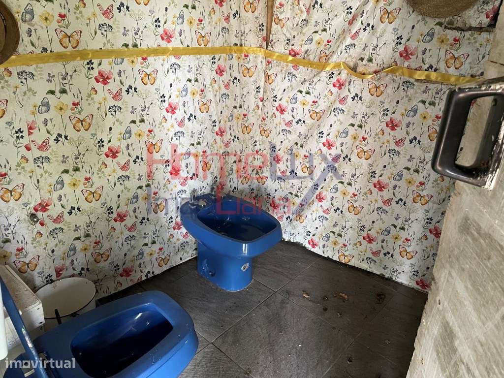 Quinta junto ao Rio Caima-24