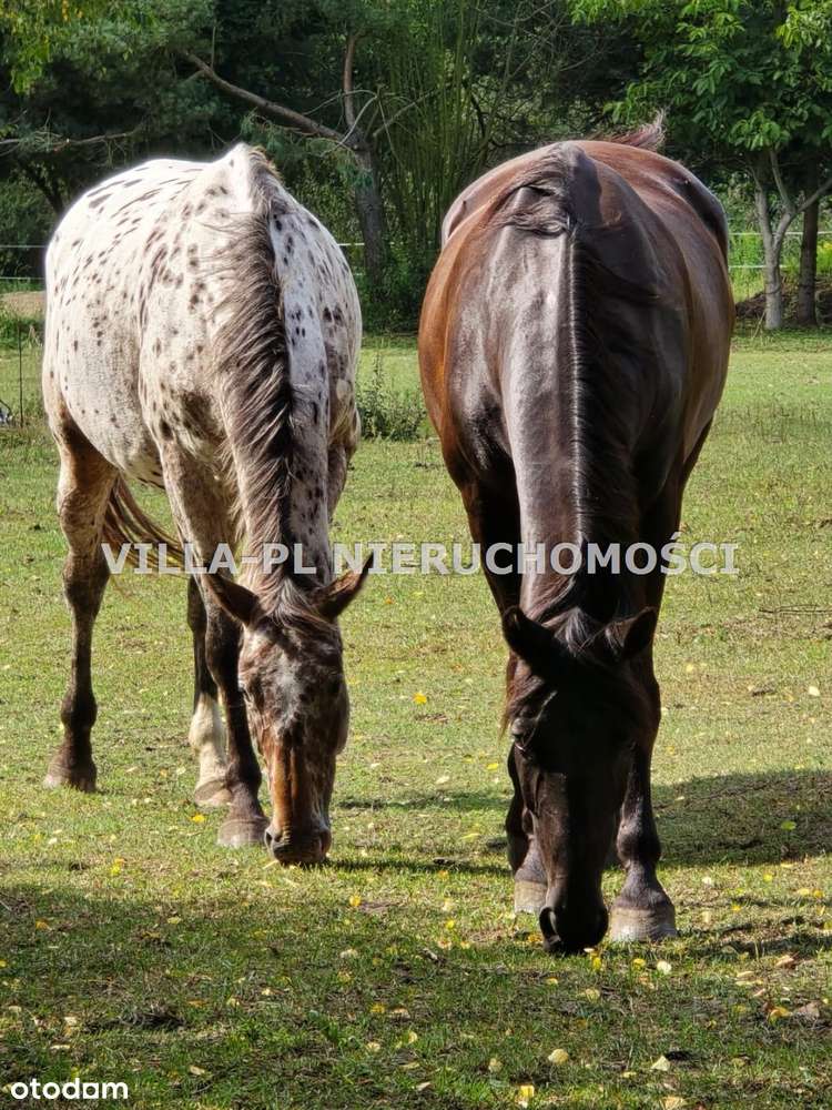 0% działki budowlane różne wielkości do wyboru - Pełny obrazek: 4/4