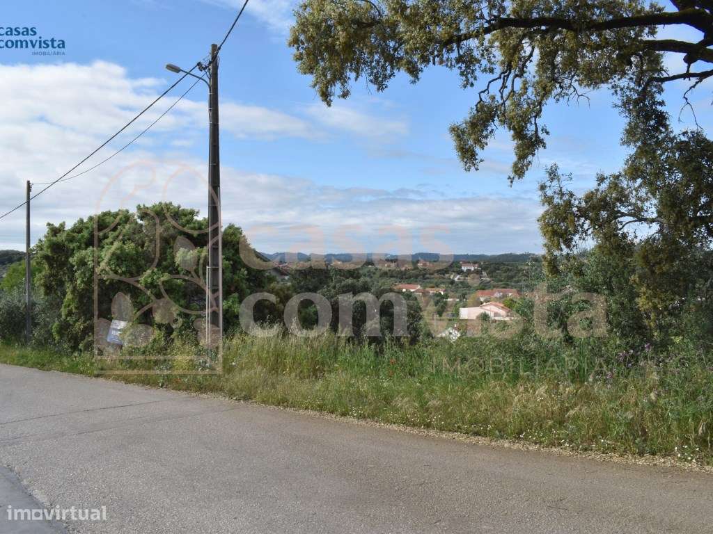 Terreno para construção e agricultura - Grande imagem: 4/14