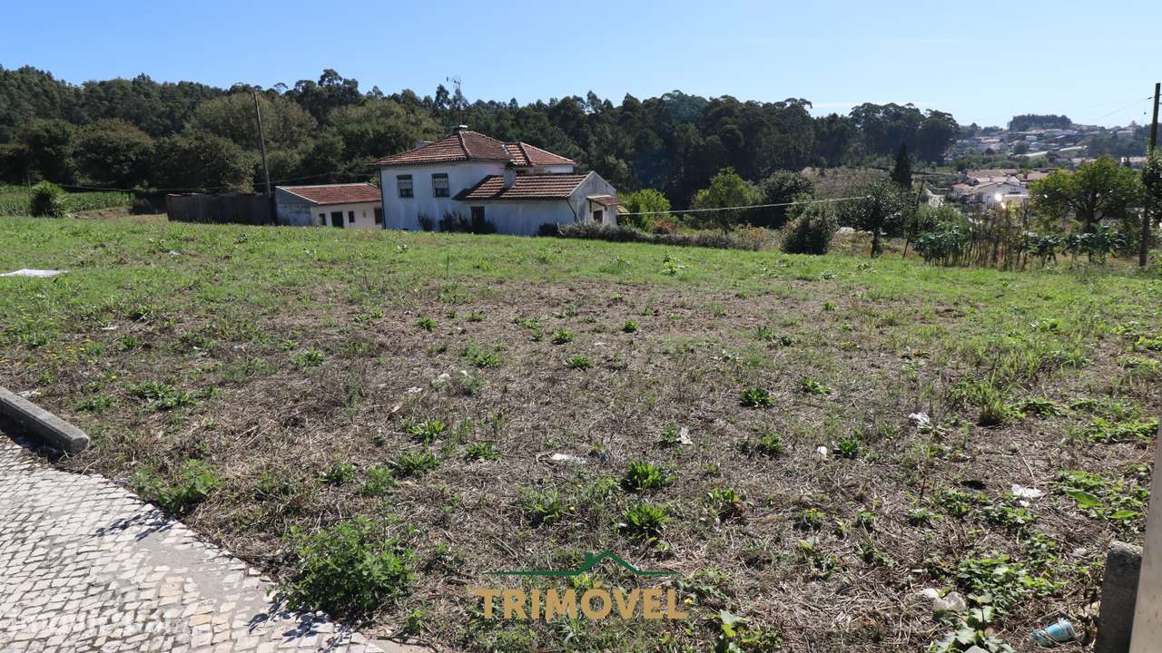 Terreno para Construção em Oliveira de Azeméis - Grande imagem: 2/9