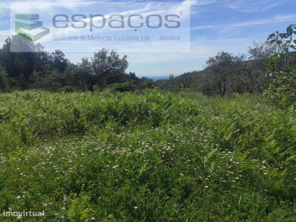 Terreno Rustico - Grande imagem: 5/16