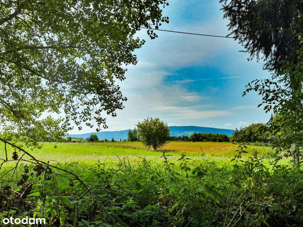 Działka w super lokalizacji - Stary Wielisław-11