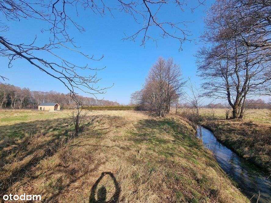 Działka, 1 836 m², Białogóra - Pełny obrazek: 5/8