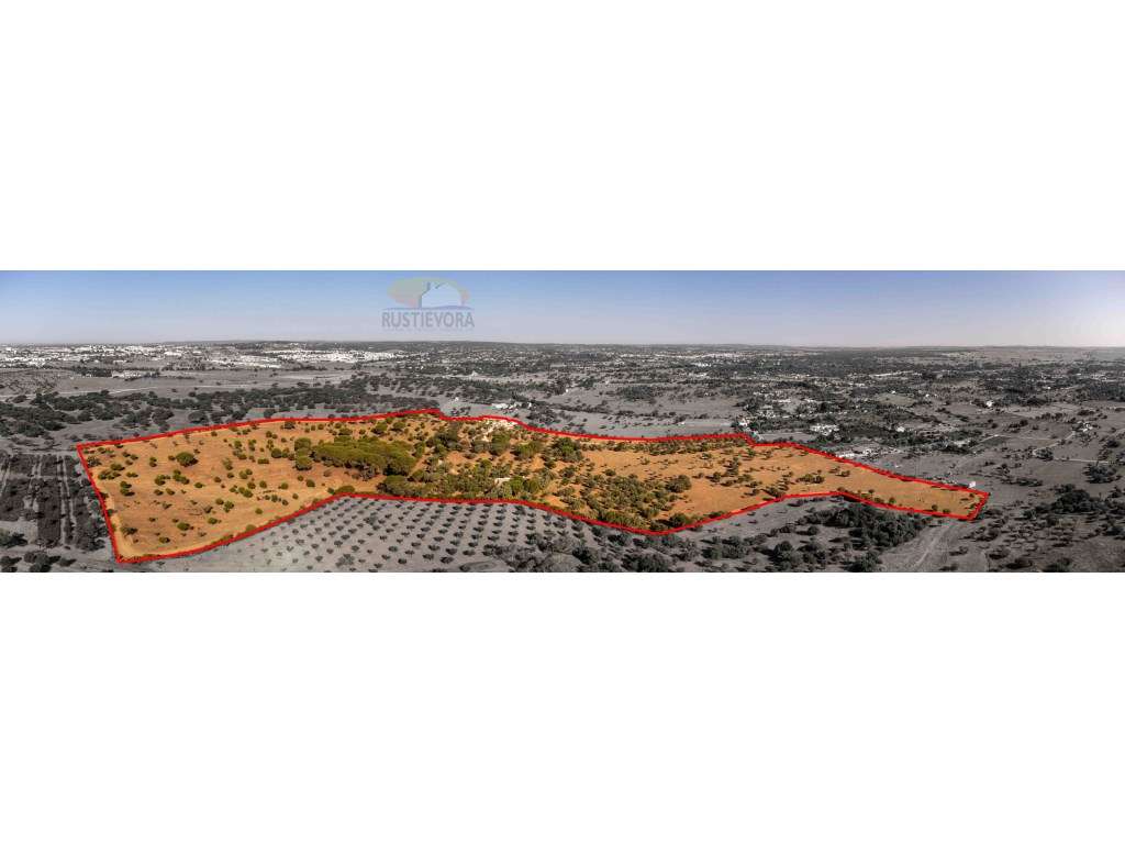 Quinta com 16 ha, com 4 Moradias Unifamiliares, piscina e várias ár...-11