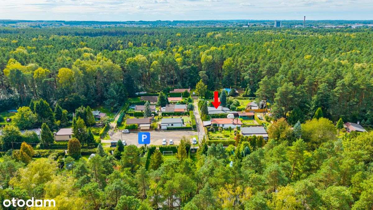 Dom całoroczny w lesie na ogródku działkowym - Pełny obrazek: 5/20