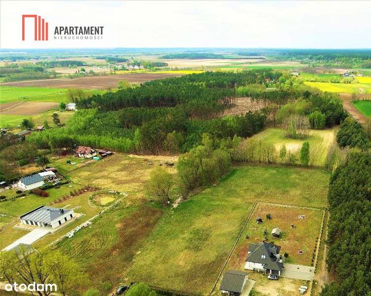 Tylko U Nas !!! Toporzysko 800 M2 Super Lokalizaca - Pełny obrazek: 4/12