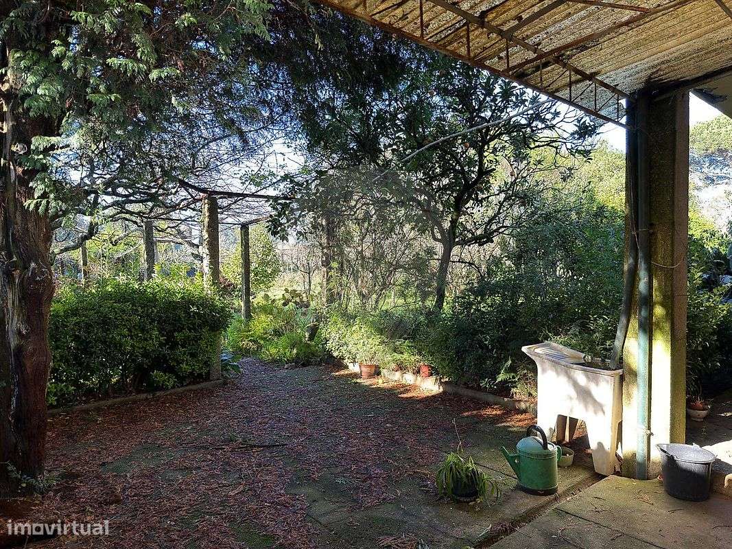 Terreno  para venda - Grande imagem: 4/6