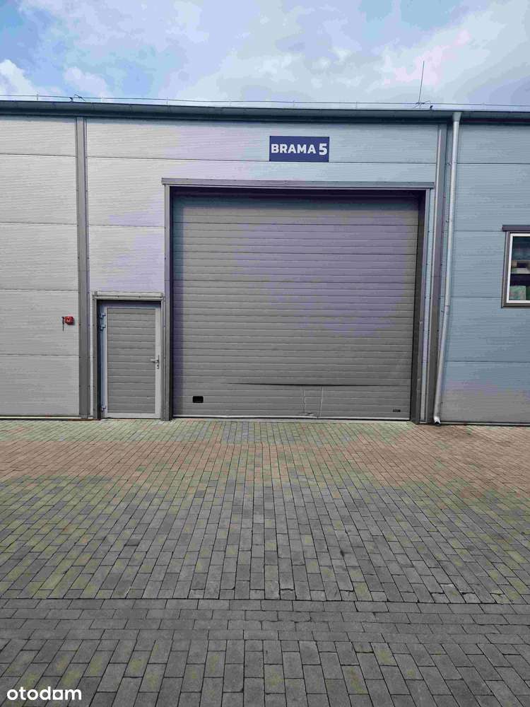 Hala  285 m², 700 m2, Biuro 100 m2  super cena od zaraz - Pełny obrazek: 4/10