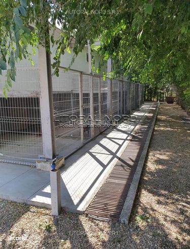 Exclusivitate-Ovidiu-Pet Hotel, 220 mp utili,teren intravilan 1.400mp-11