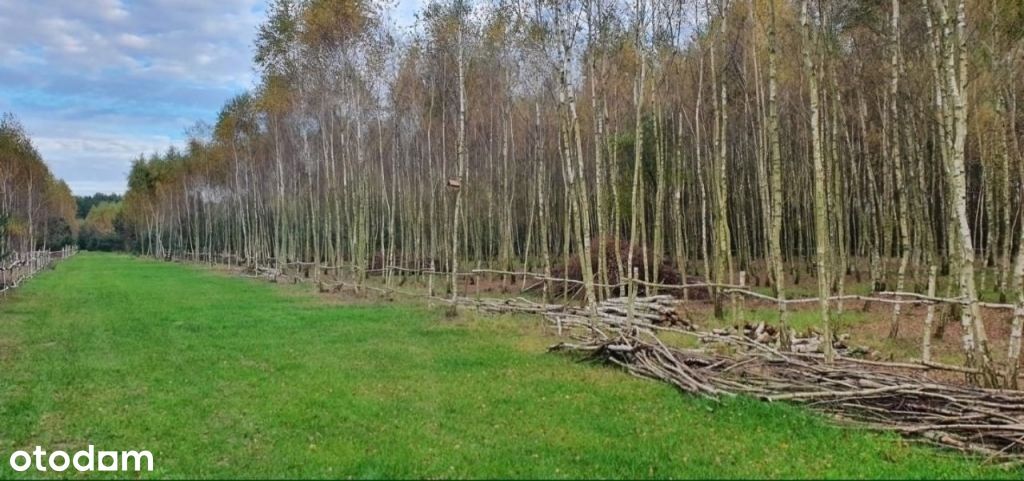 Działka budowlana na sprzedaż, media w drodze.