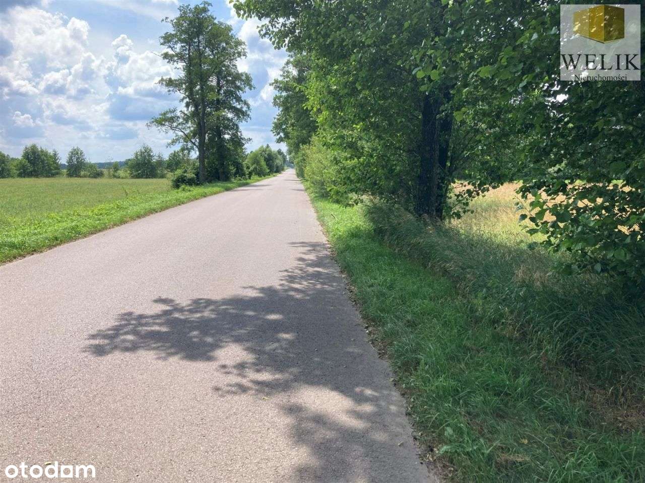 Działka inwestycyjna pod zabudowę jednorodzinną - Pełny obrazek: 4/7