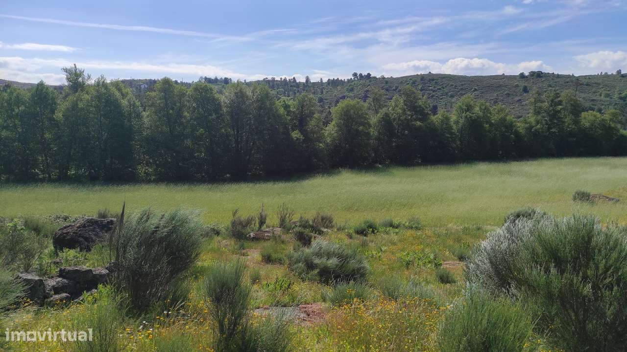 Quinta com Vista para a Serra da Estrela – Um Refúgio Natural - Grande imagem: 4/19