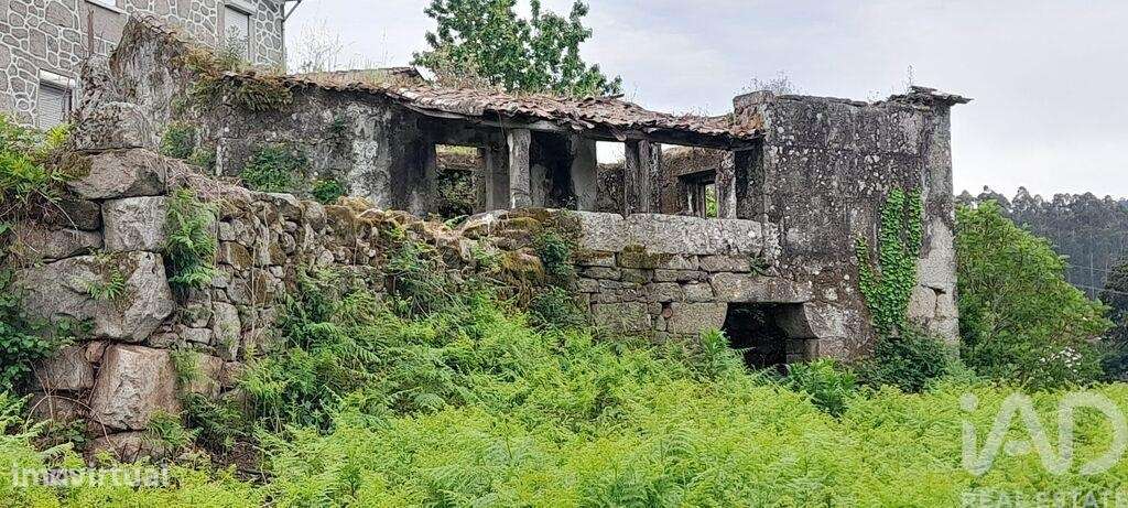 Casa / Villa T3 em Fontoura de 3100,00 m2 - Grande imagem: 5/30