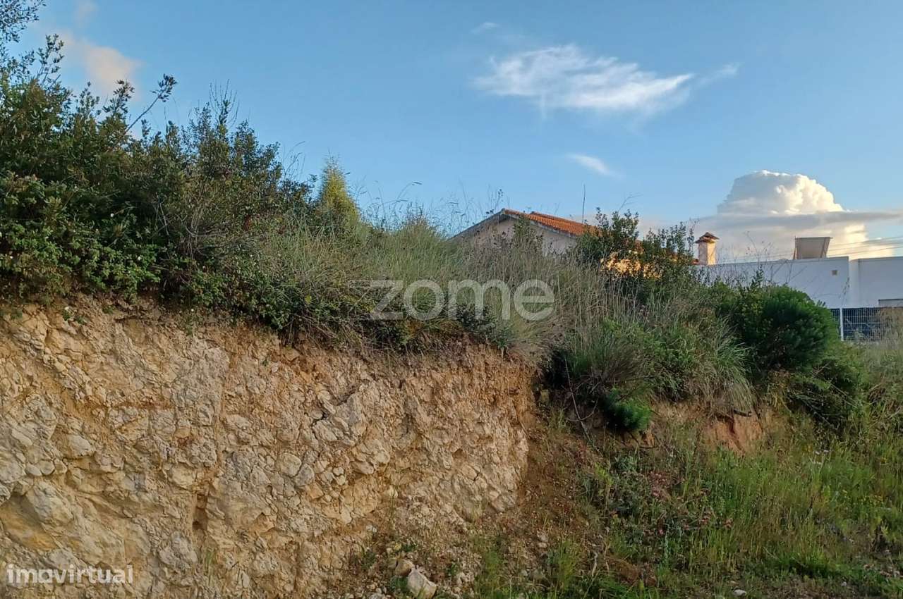 Terreno para construção com projeto para moradia em Souselas - Grande imagem: 3/20