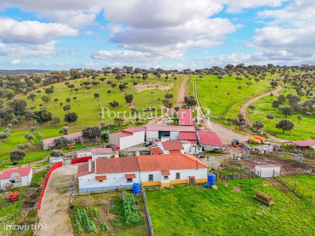 Herdade de 62 ha em Vendinha, Évora - Grande imagem: 2/47