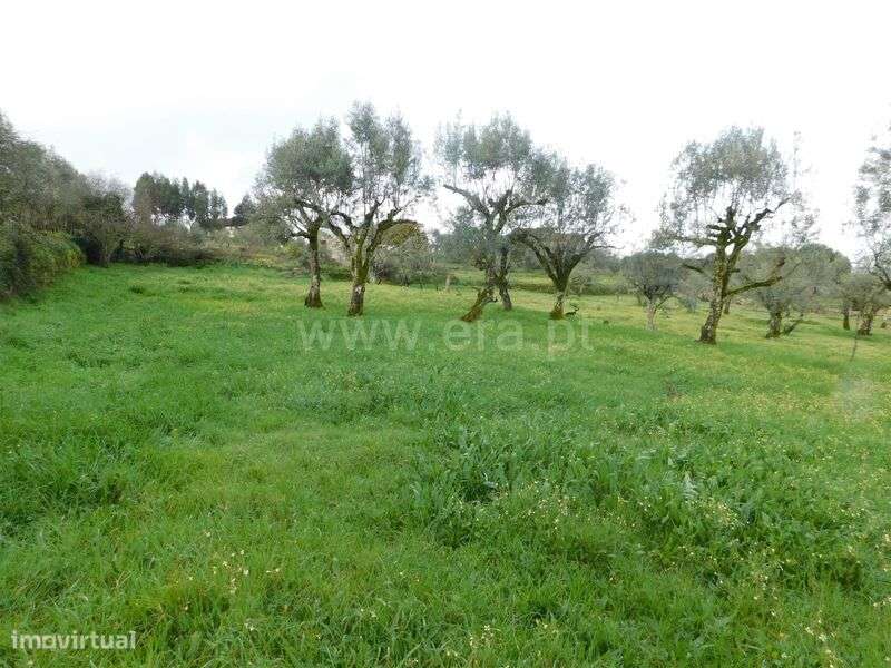 Moradia Isolada T4 / Seia, Girabolhos - Grande imagem: 4/11