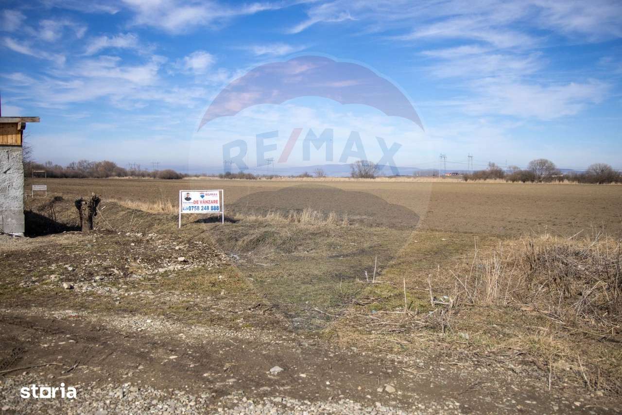 Teren 6400 mp, Drumul cu Plopi, Sanpetru - Imagine principală: 3/8