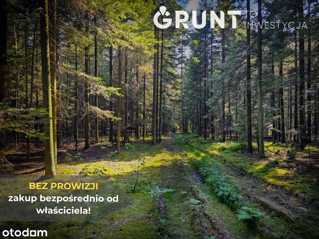 Działki budowlane z zadrzewieniem - Pełny obrazek: 5/12