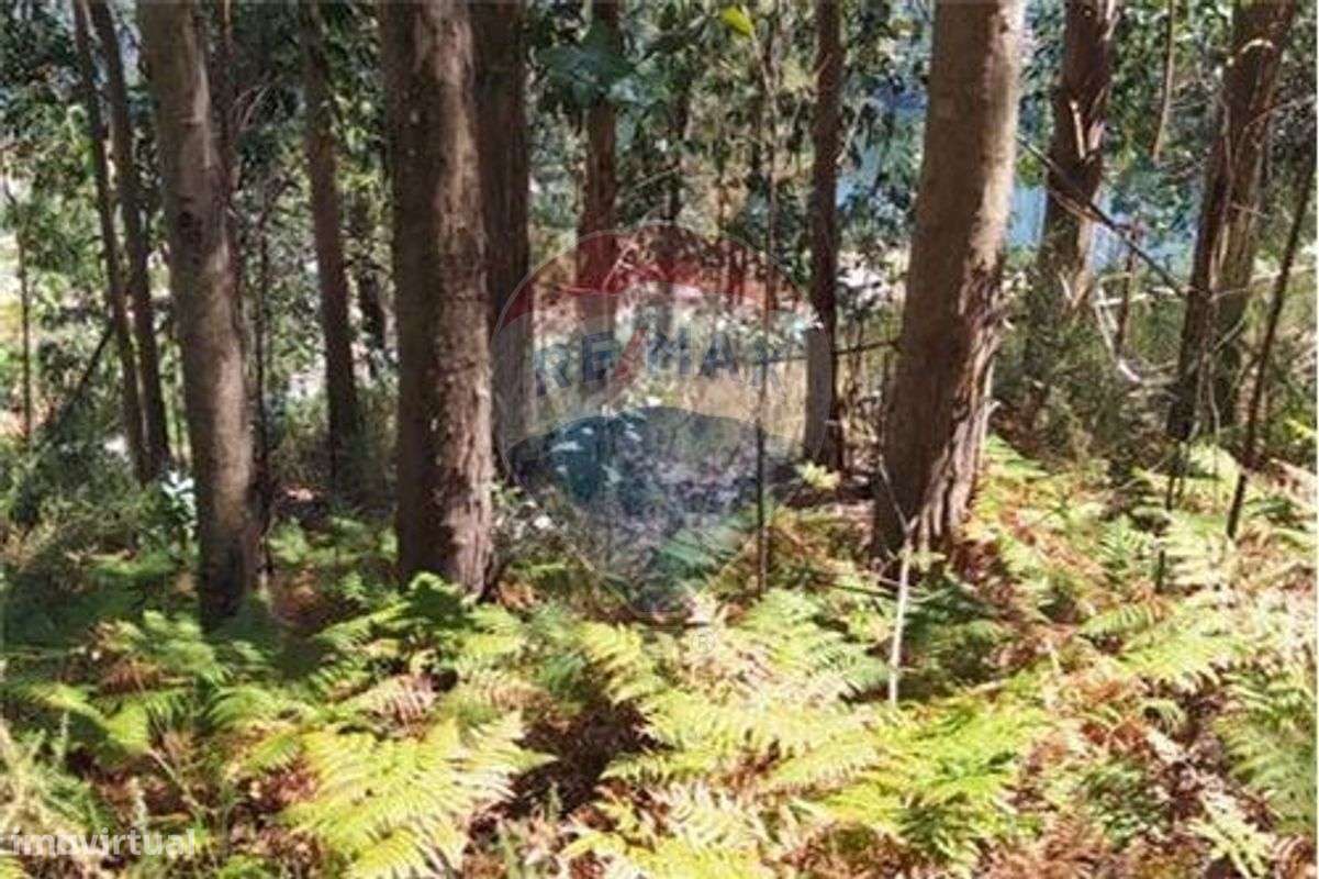 Terreno T0 para venda - Grande imagem: 2/6