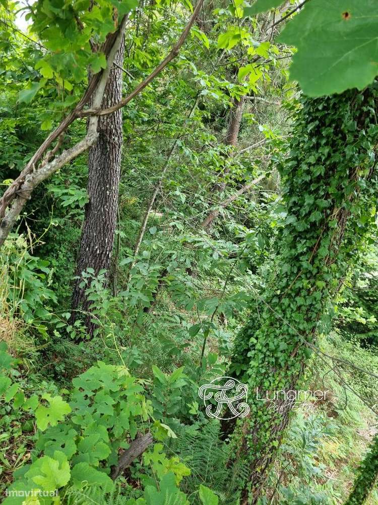 Terreno em Louredo, Vieira do Minho - Grande imagem: 4/9