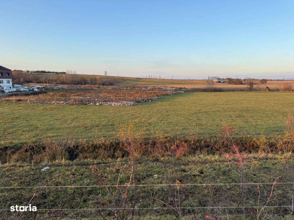 Vand teren, situat pe drumul Rusciorului langa pista de karting!-7