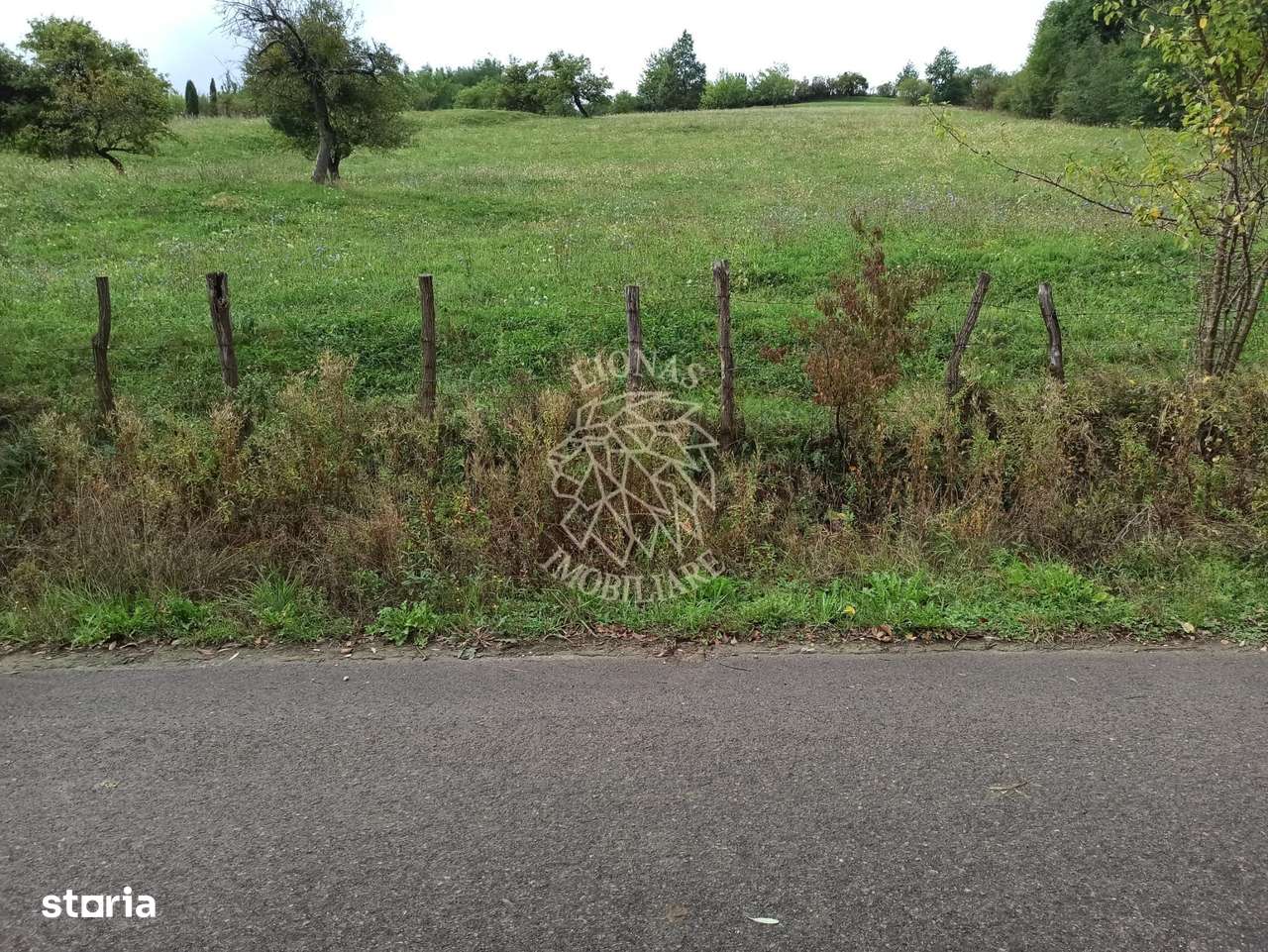 Teren intravilan 12600 mp-utilitati-ideal case, investitie-Livezile - Imagine principală: 1/6