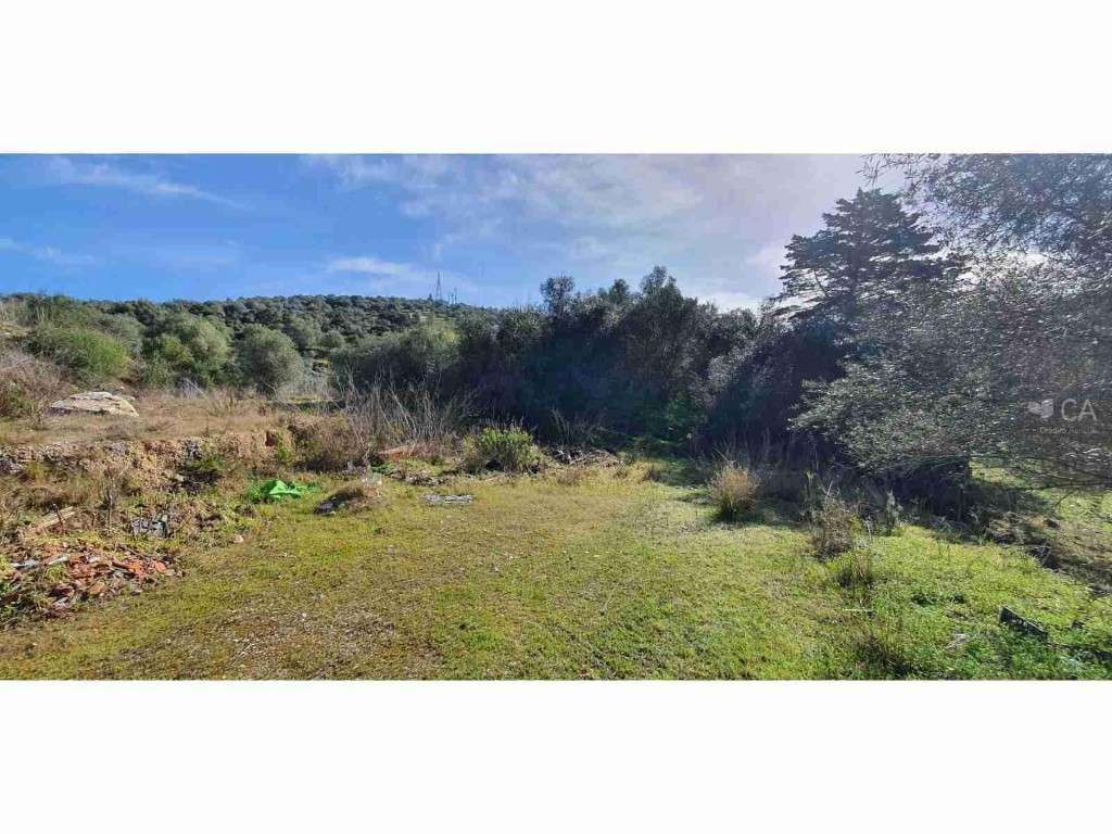 Terreno para venda - Grande imagem: 4/4