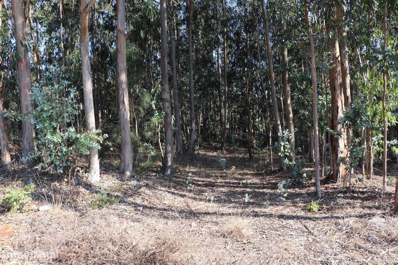 Lote Industrial  Venda em Lordelo,Paredes-12