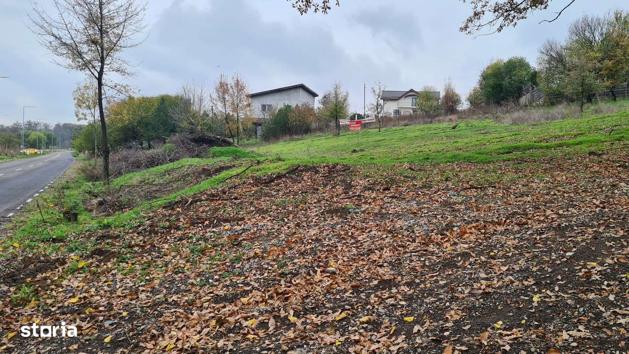 Teren intravilan Branesti, in apropiere de padure si lac-4