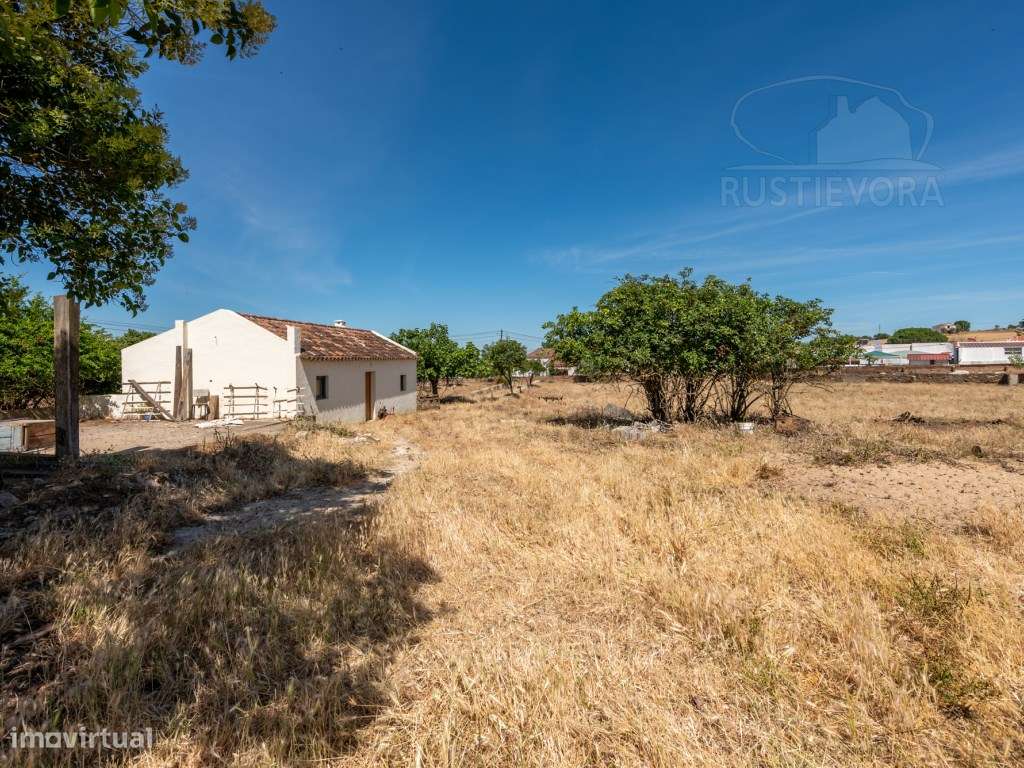 Quinta de São Miguel | Um Projeto Único junto ao Castelo de Estremo...-14