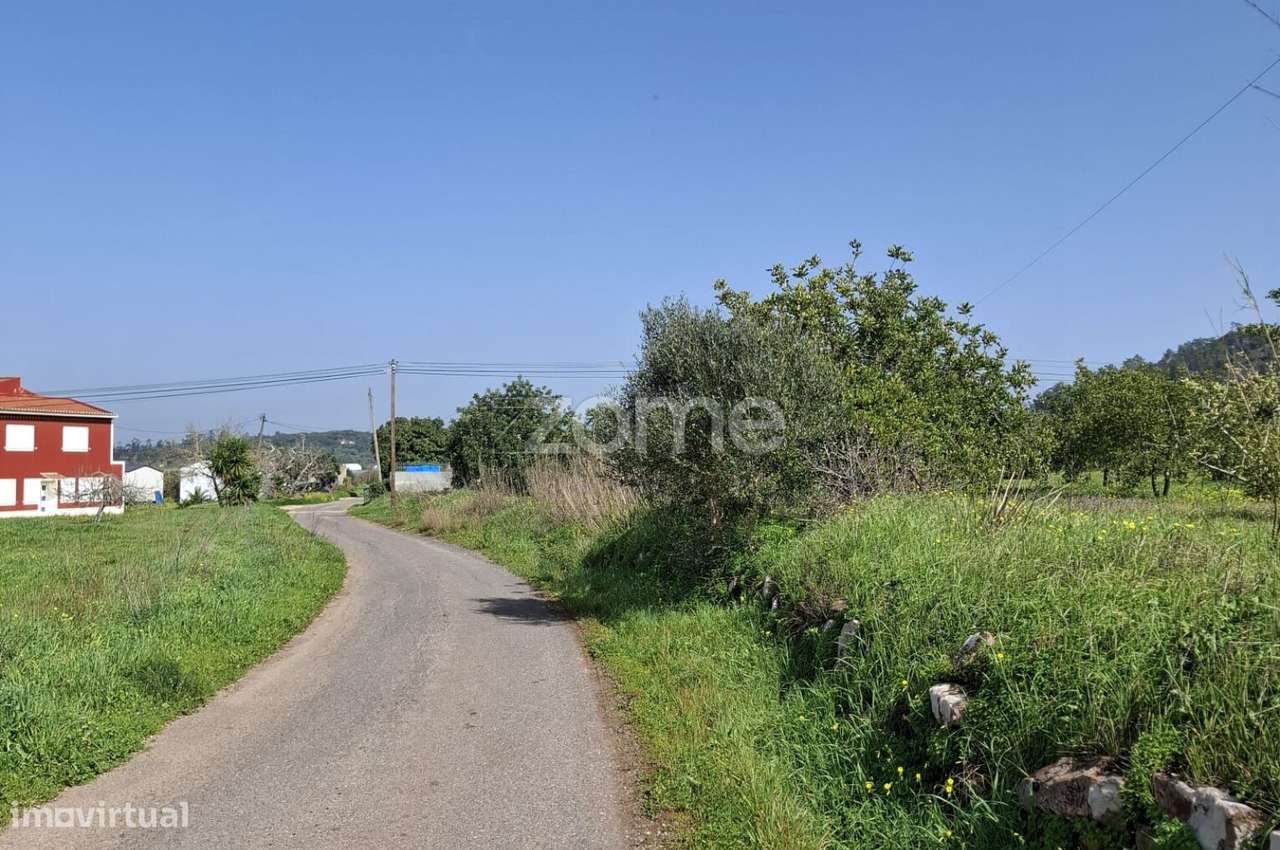 Terreno c/ Furo e Alfarrobeiras em Amorosa, Messines com 13.460m2 - Grande imagem: 4/19