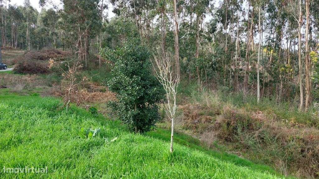 Terreno rústico - Soengas-12